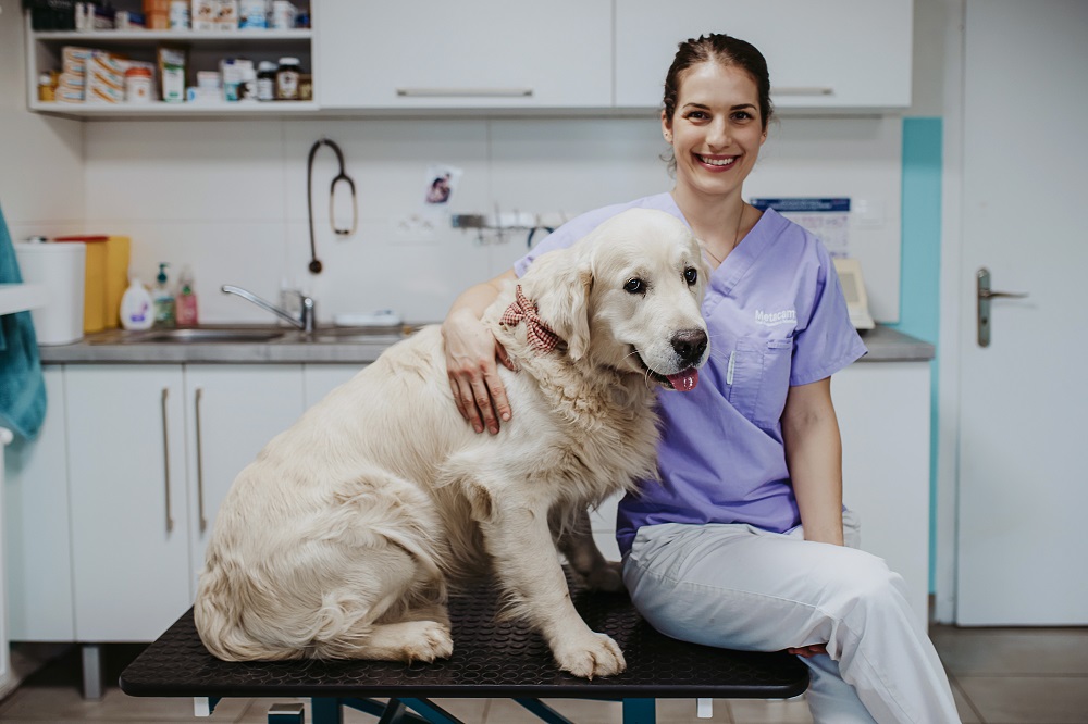 Veterinár Košice a okolie MVDr. Barbara Popovičová